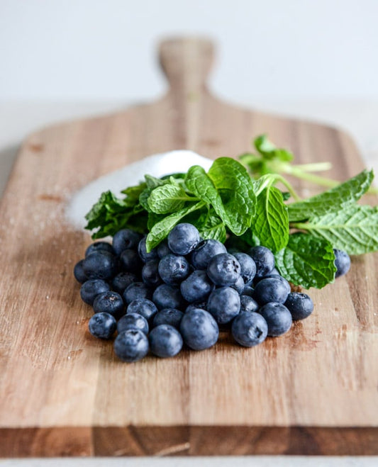 Mint Blueberry Blast - Fruit Infuser Recipe
